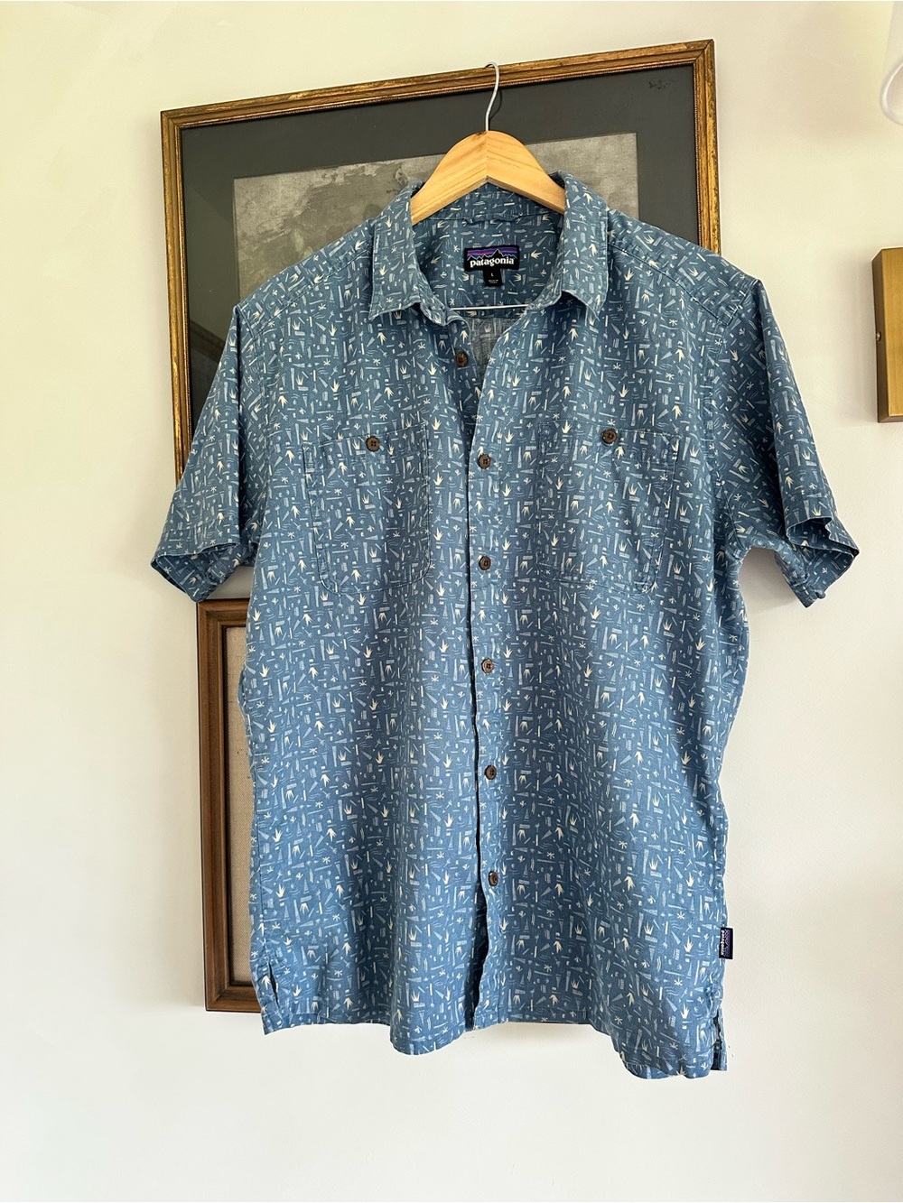 Patagonia Blue & White Breathable Button-Up Shirt | All Seasons sz L